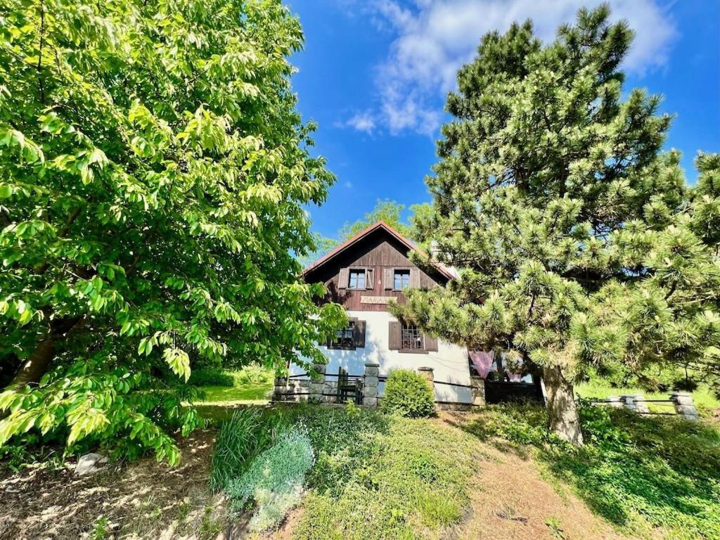 Holiday Home Marianne Velke Svatonovice Ngoại thất bức ảnh